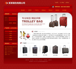 武汉网站建设-箱包公司网站
