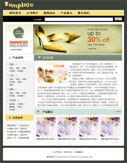 武汉网站建设-鞋类生产企业网站