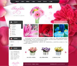 武汉网站建设-仿真花制造企业网站