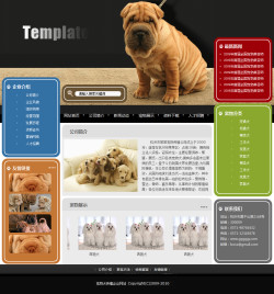 武汉网站建设-宠物养殖场网站