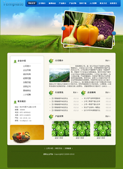 武汉网站建设-蔬菜公司网站