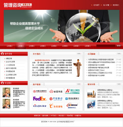 武汉网站建设-管理咨询公司网站